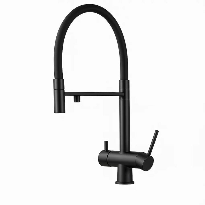 Torneira-Gourmet-Shine-Preta-Bica-Alta-Polida